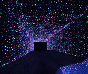 drive-through holiday light show at the lancaster fairgrounds photo