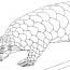 drawing upon the collections coloring pages from the harvard museums small photo