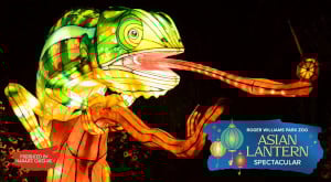asian lantern spectacular at roger williams park zoo photo