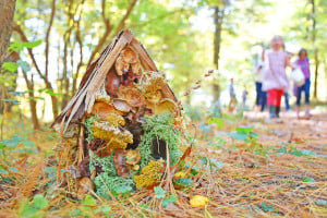 enchanted forest fairy houses at new england botanical garden photo