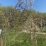 wild hideaways designed for adventure at tower hill small photo