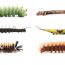 the caterpillar lab at discovery museum small photo
