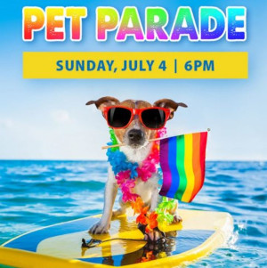 salisbury beach pet parade  beach concert photo