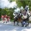 sudbury ancient fyfe and drum muster small photo