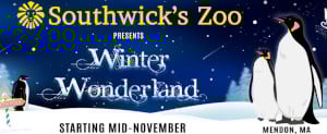 festival of illumination at southwick's zoo photo