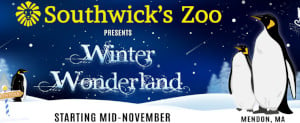 winter wonderland at southwick's zoo photo