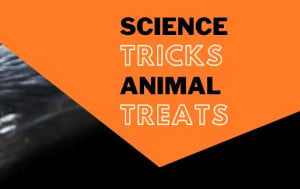 science tricks  animal treats at the ecotarium museum photo