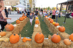 fall falladays festival at arsenal yards photo