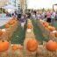 fall falladays festival  events at arsenal yards small photo