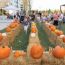 fall falladays festival events at arsenal yards small photo