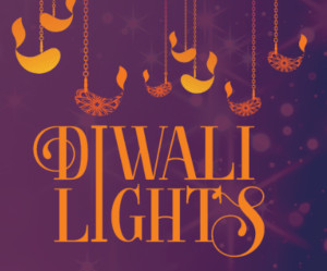 diwali lights at new england botanical gardens at tower hill photo