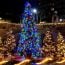 the anchor annual holiday tree lighting small photo
