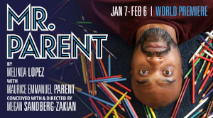 mr parent at lyric stage now streaming photo