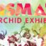 prismatic an orchid exhibition at tower hill small photo