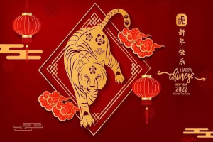 lunar new year celebration at bc's mcmullen museum photo