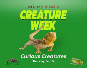 creature week curious creatures photo