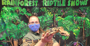 rainforest reptiles show at patriot place photo