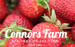connors farm annual strawberry festival photo