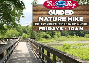 weekly guided nature hikes at the bog photo