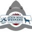 jaws movie night at beach road weekend small photo