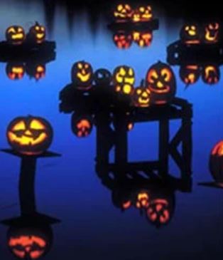 jack-o-lantern spectacular at roger williams park zoo photo