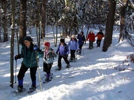 weston ski track cross country skiing snow shoeing photo