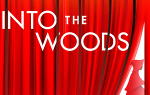 into the woods photo