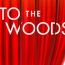 into the woods small photo