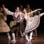 boston ballet's don quixote small photo