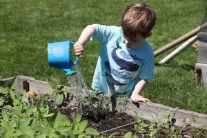 saturday family time - a day at the farm photo