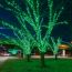 emerald glow at charlesgate led trees in green small photo