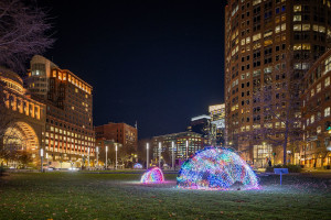 hatchlings light displays on the greenway photo