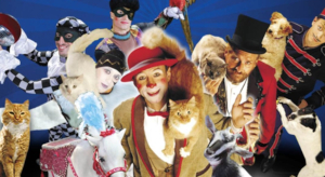 the world famous popovich comedy pet theatre photo