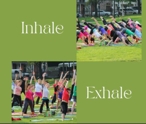 free yoga thursday at frog pond boston photo