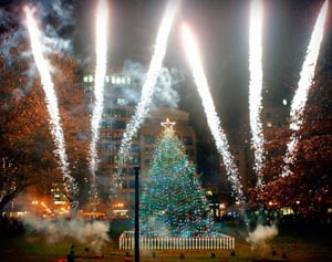 boston common tree lighting 2021 photo