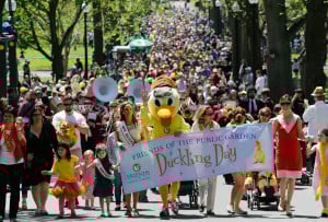 duckling day boston 2023 photo