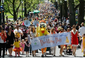 duckling day boston 2024 photo