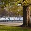 frog pond ice rink opening day - cancelled for 2020 small photo