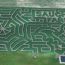 corn maze at sauchuk farm small photo