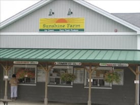 sunshine farm ice cream  strawberry picking photo