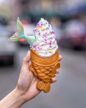 taiyaki nyc boston photo